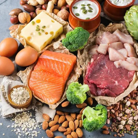 What Is The Best Protein?