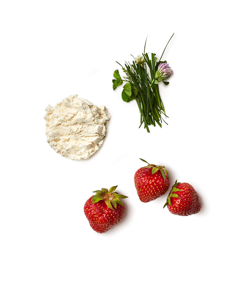Promix Strawberry Milk Whey Protein Isolate Powder