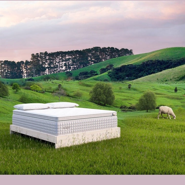 Evaya® Original Mattress with PillowTopper