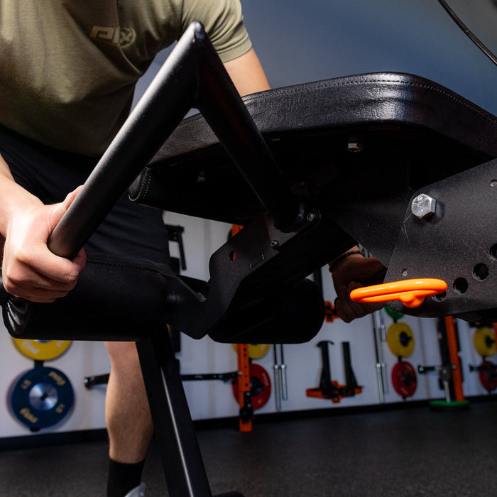 PRx Leg Curl/Extension