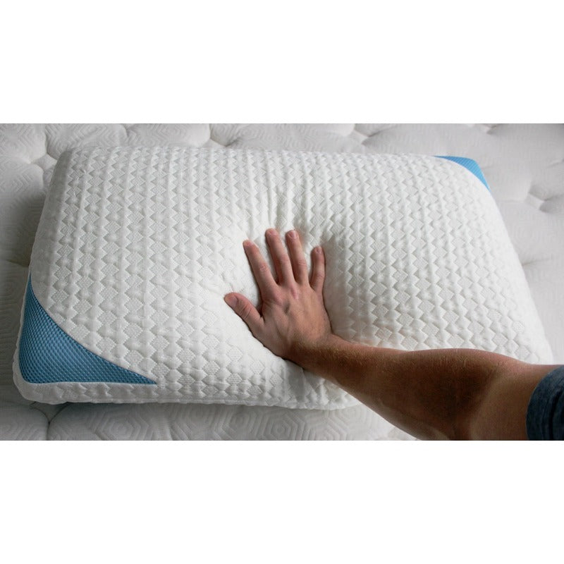 Bear Pillow