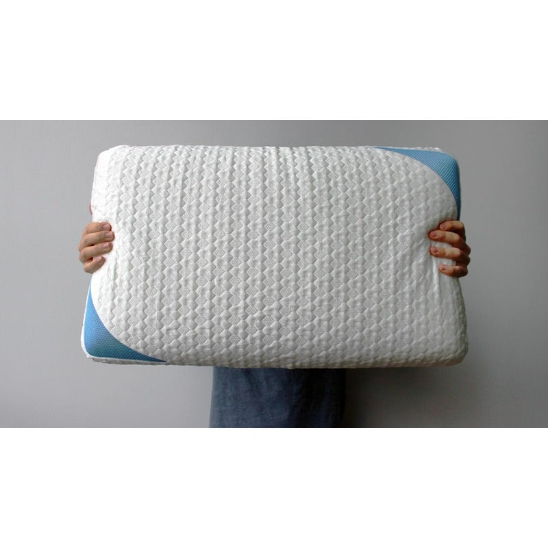 Bear Pillow