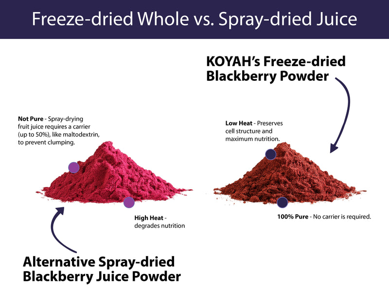 KOYAH Organic Blackberry Powder