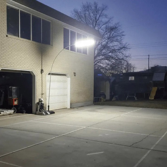 Dominator ALTA Light