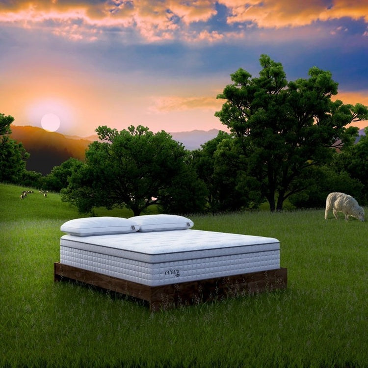 Evaya® Bliss Mattress