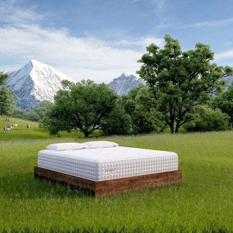 Evaya® Original Mattress