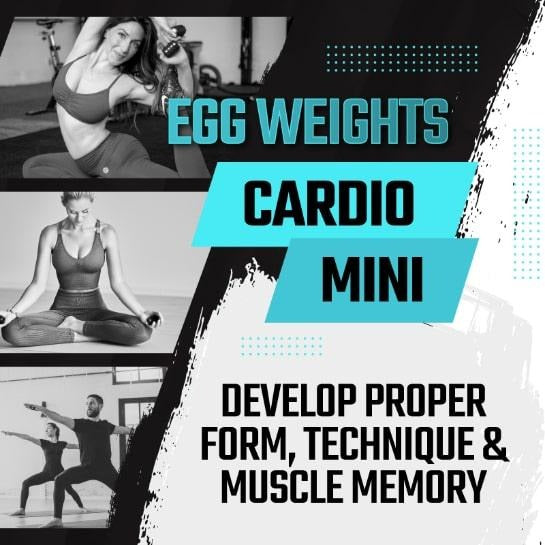 Egg Weights 2 lb Set Cardio Mini