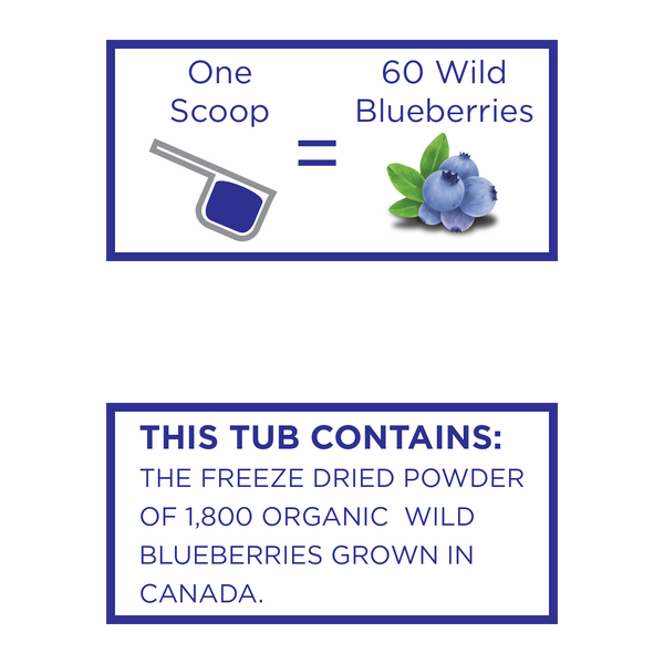 KOYAH Organic Wild Blueberry Powder