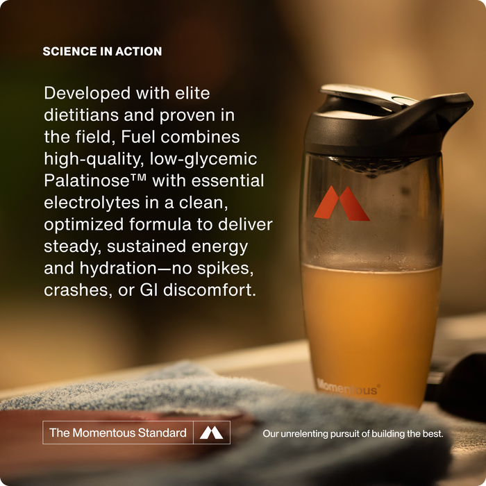 Momentous Fuel 10-Travel Packs