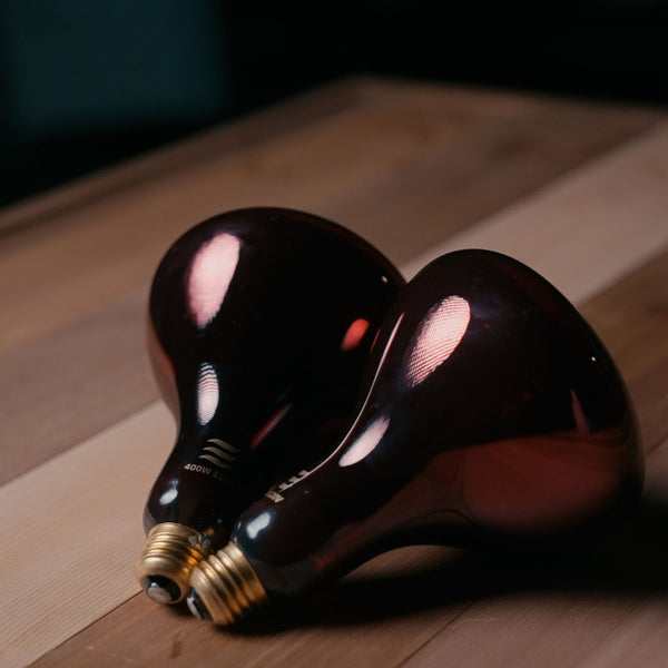 Hot Box Sauna Infrared Bulb
