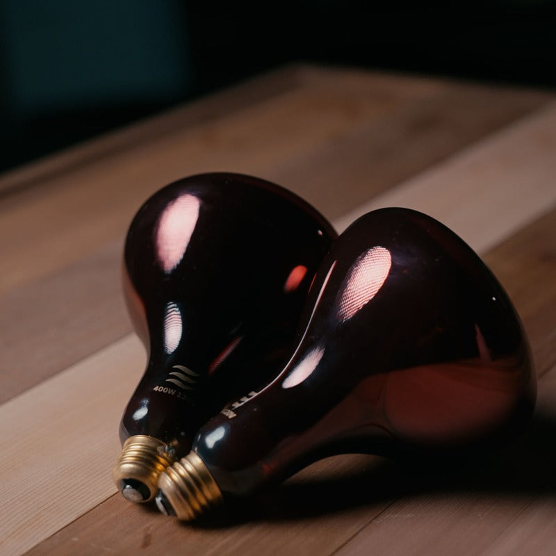 Hot Box Sauna Infrared Bulb