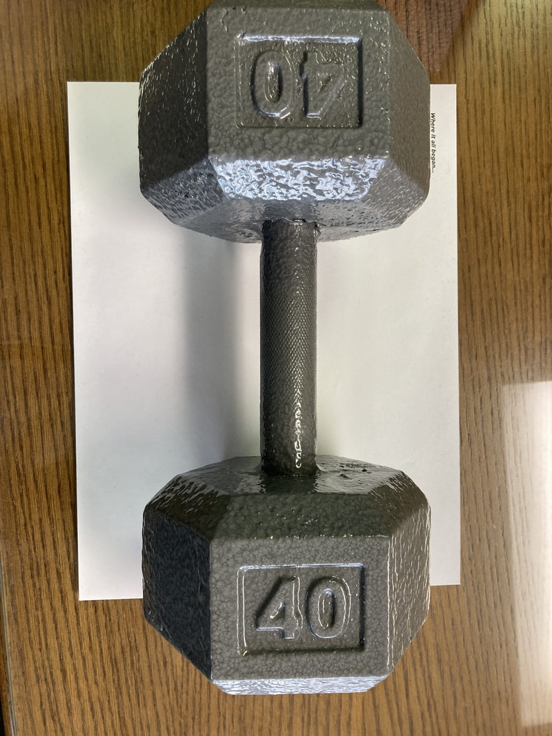 Cast Iron Hex Dumbbell – Factory Seconds