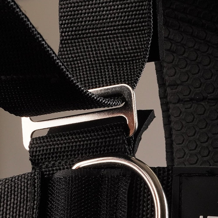 Iron Neck Alpha Harness Plus