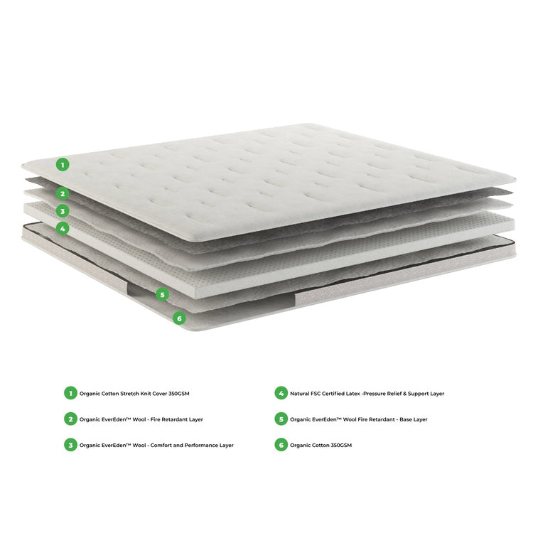 Evaya 3 Inch Organic PillowTopper