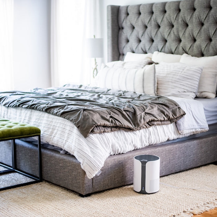 MIKO IBUKI True HEPA Compact Essential Air Purifier