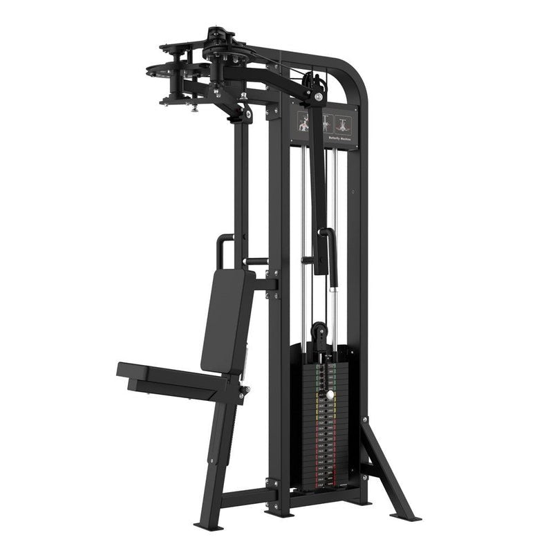 Muscle D Fitness
