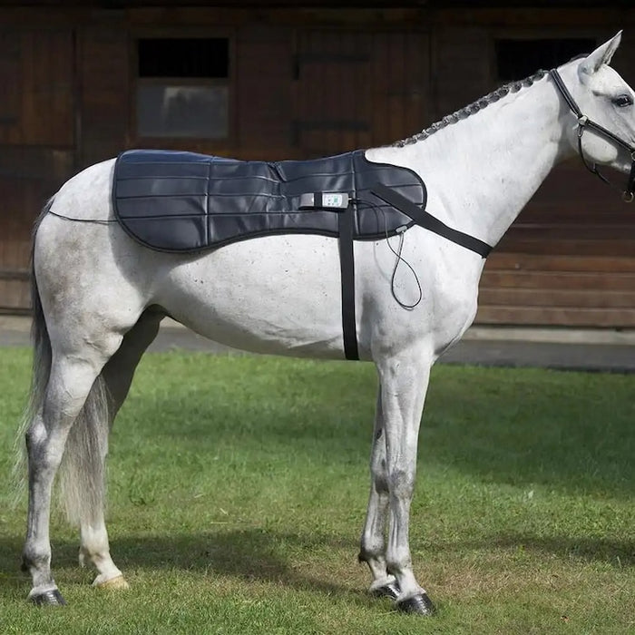 OMI PEMF Horse Blanket
