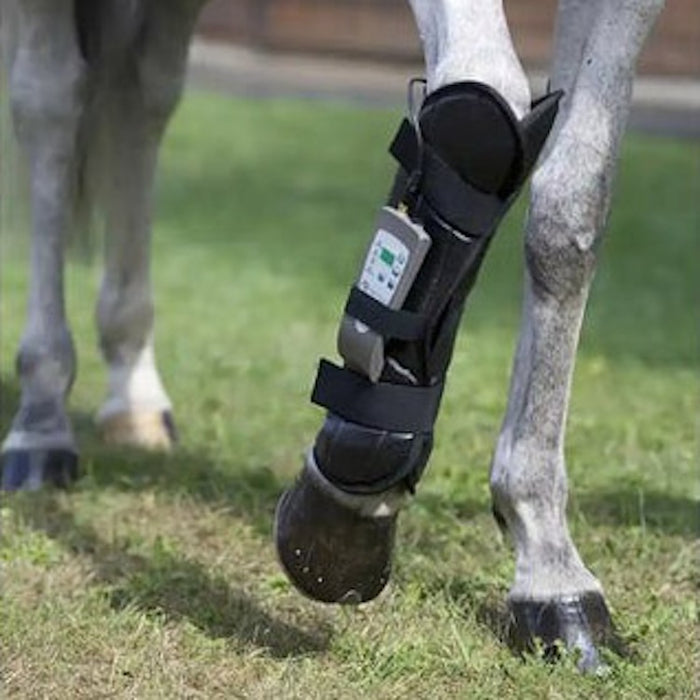 OMI PEMF Horse Front Leg Wrap