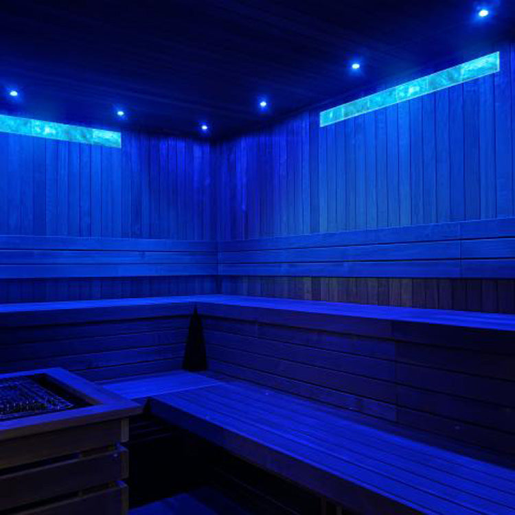 Prosaunas Small Himalayan Salt Light Feature