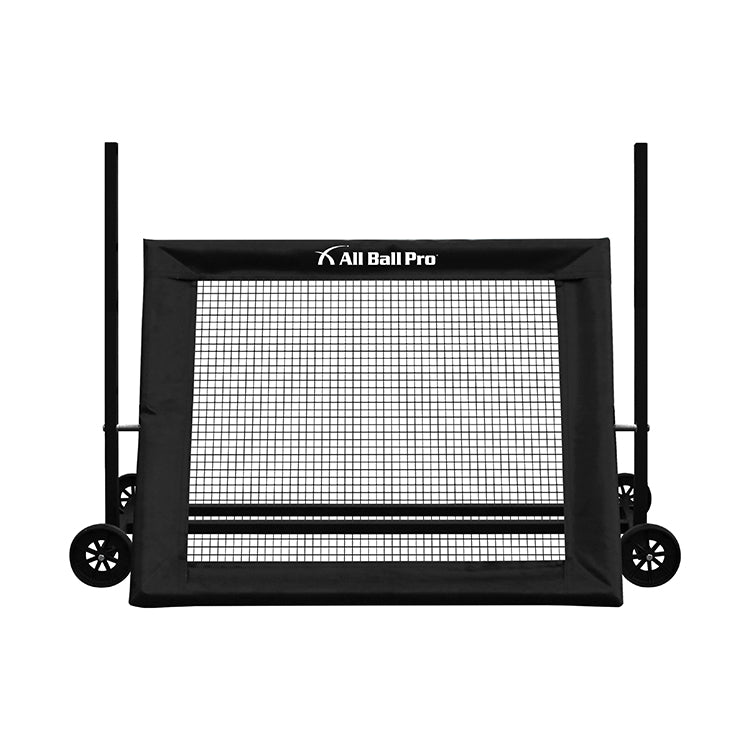 All Ball Pro Premier XL Rebounder