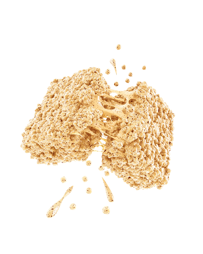 Promix Snickerdoodle Protein Puff Bars