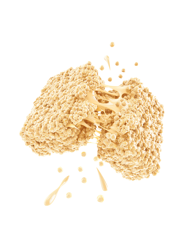 Promix Vanilla Protein Puff Bars