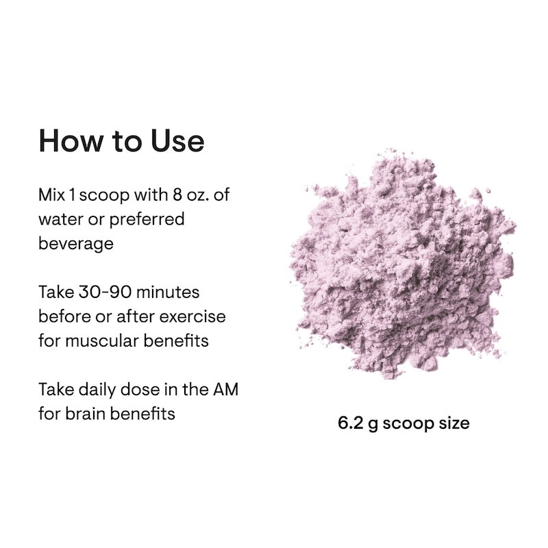 Thorne Creatine Monohydrate - 60 Scoops