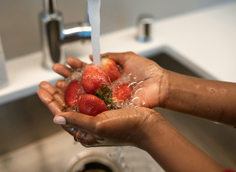 Natural Action Sink Revitalizer