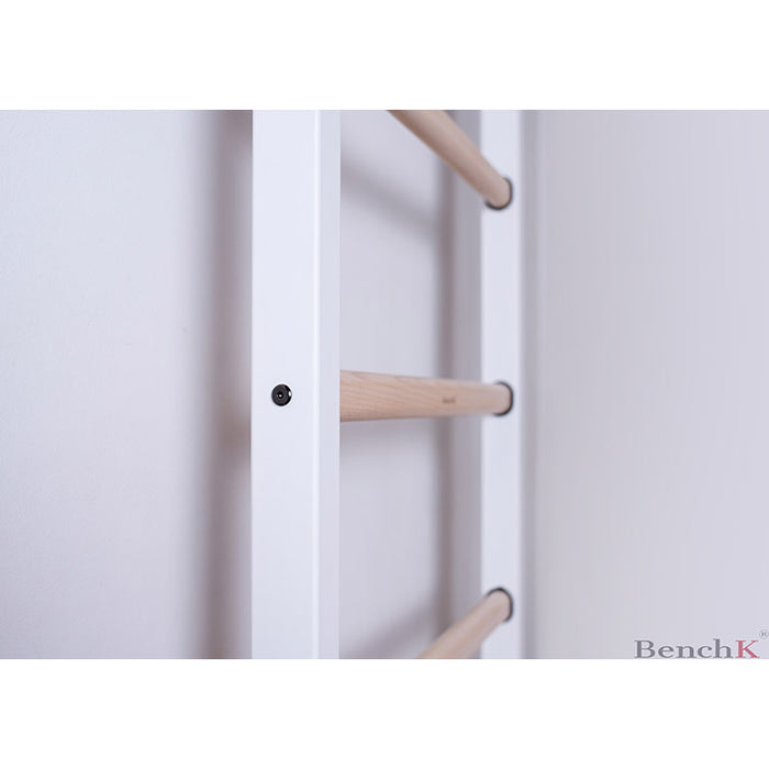 BenchK Series 5 521W+A204 Wall Bars with Gymnastics Accessories
