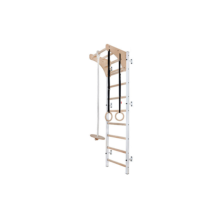 BenchK Series 7 711W+A204 Wall Bars with Gymnastics Accessories