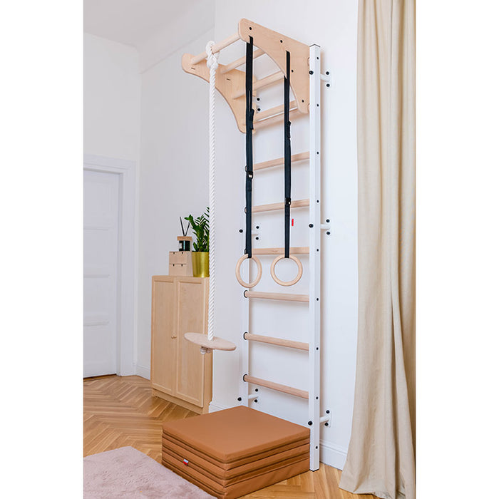 BenchK Series 7 711W+A204 Wall Bars with Gymnastics Accessories