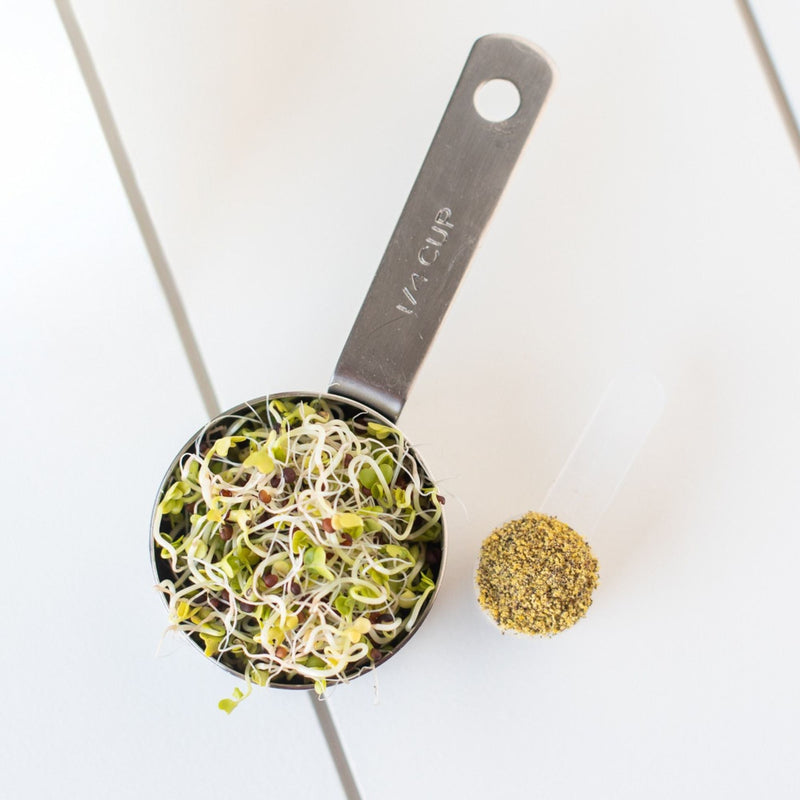 KOYAH Organic Broccoli Sprout Powder