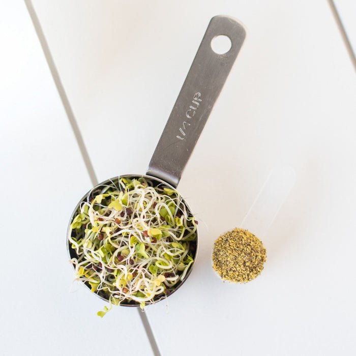 KOYAH Organic Broccoli Sprout Powder