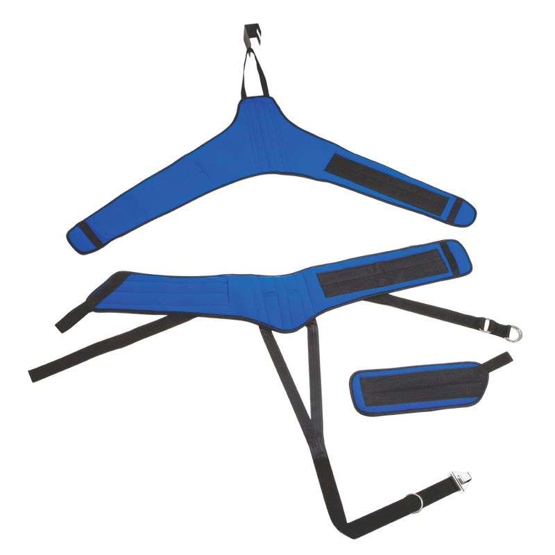Chattanooga Deluxe Universal Belt System