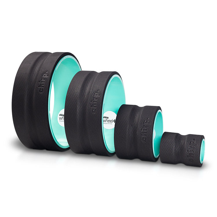Chirp Wheel+ 4-Pack