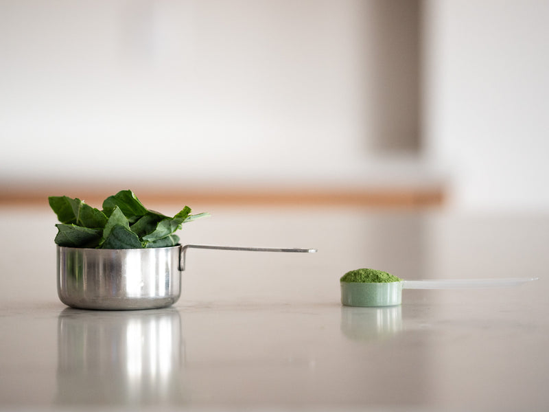 KOYAH Organic Collard Greens Powder