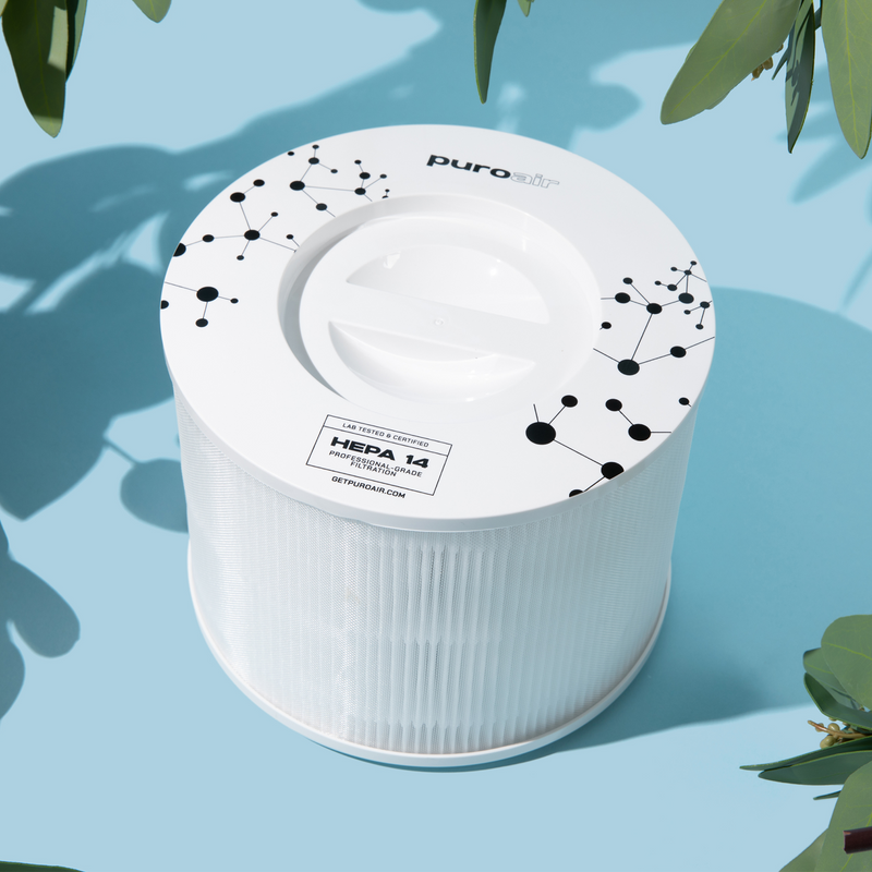 home | graze Images High Quality Grahic Whole Home+ Bundle HEPA Replacement Filters — Recovery For Athletes