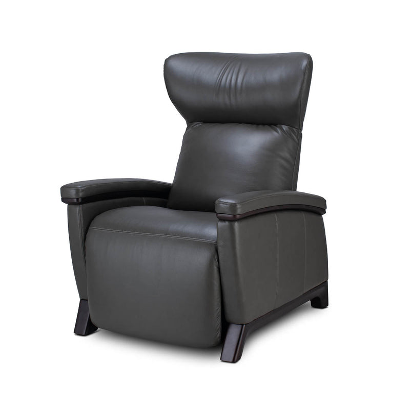 Svago Motion Mastery Zero Gravity Recliner