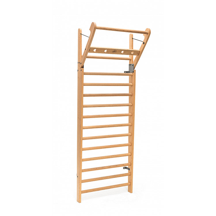 Wall Bars