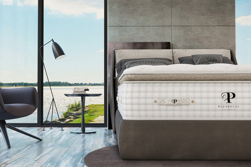 PlushBeds Organic Mattress - The Organic Bliss Pillowtop