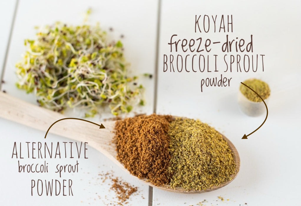 KOYAH Organic Broccoli Sprout Powder