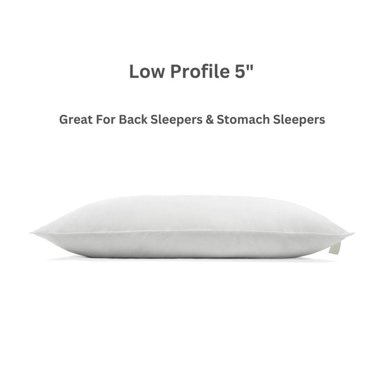 Sweet Zzz Plant-Based Pillow
