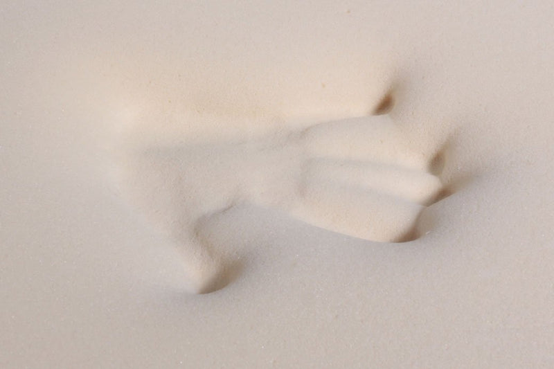 PlushBeds Memory Foam Mattress Topper