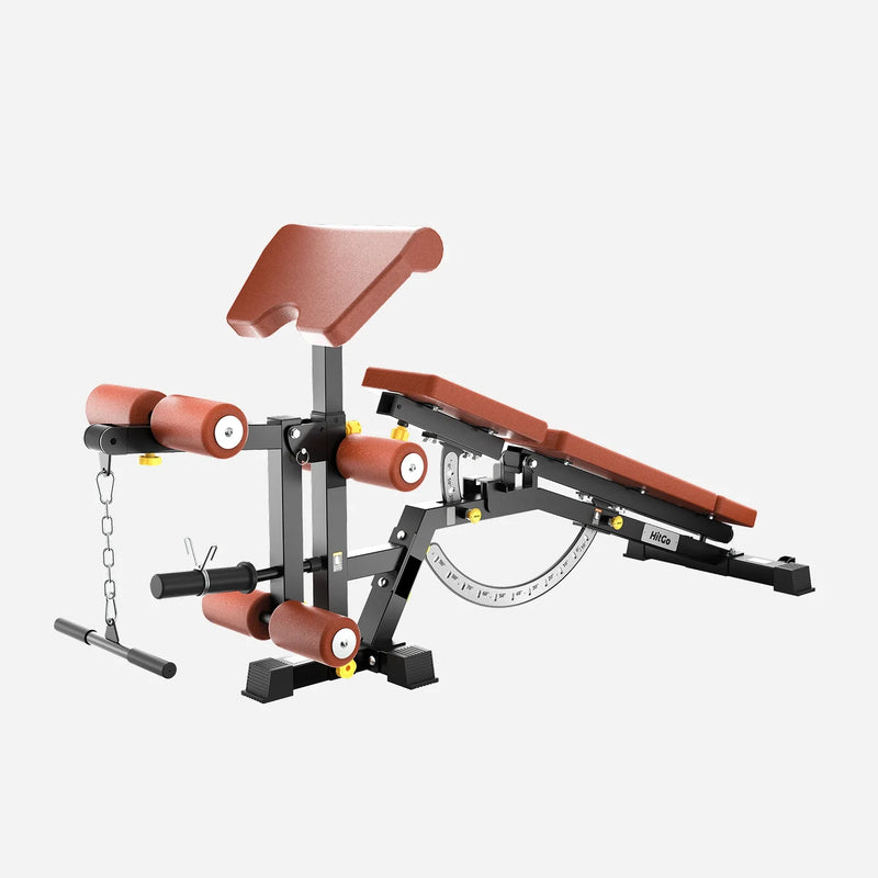 WalkingPad EVO-UB Weight Bench