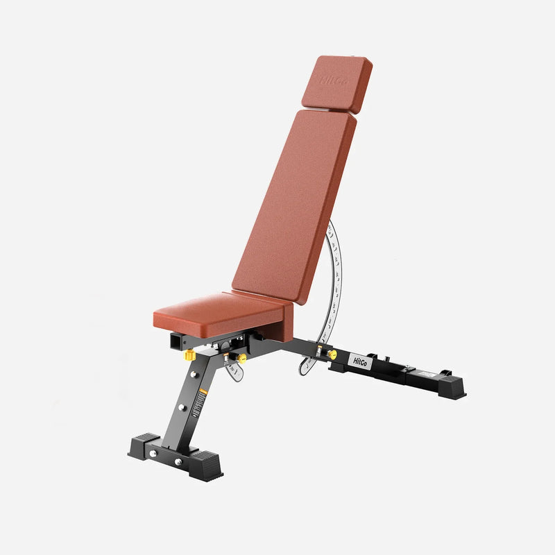 WalkingPad EVO-UB Weight Bench
