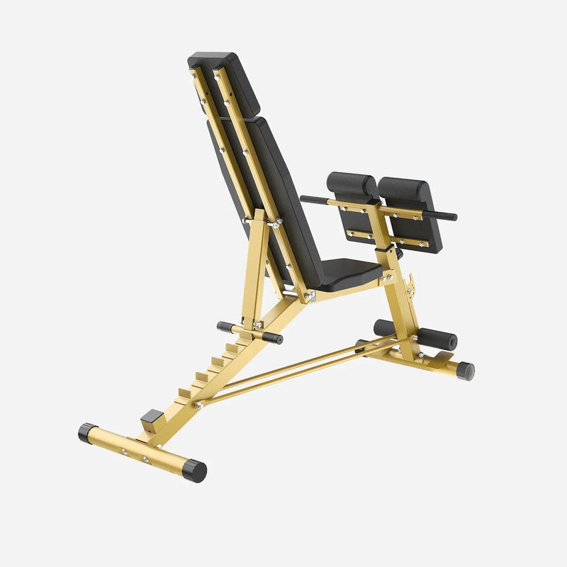 WalkingPad MATE-WB1 ROMAN CHAIR