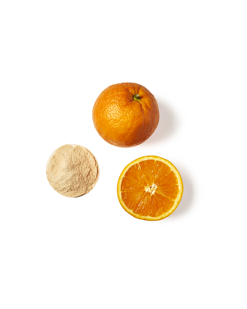 Promix Debloat: Prebiotic + Probiotic Variety Pack