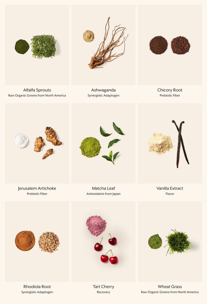Promix Raw Greens