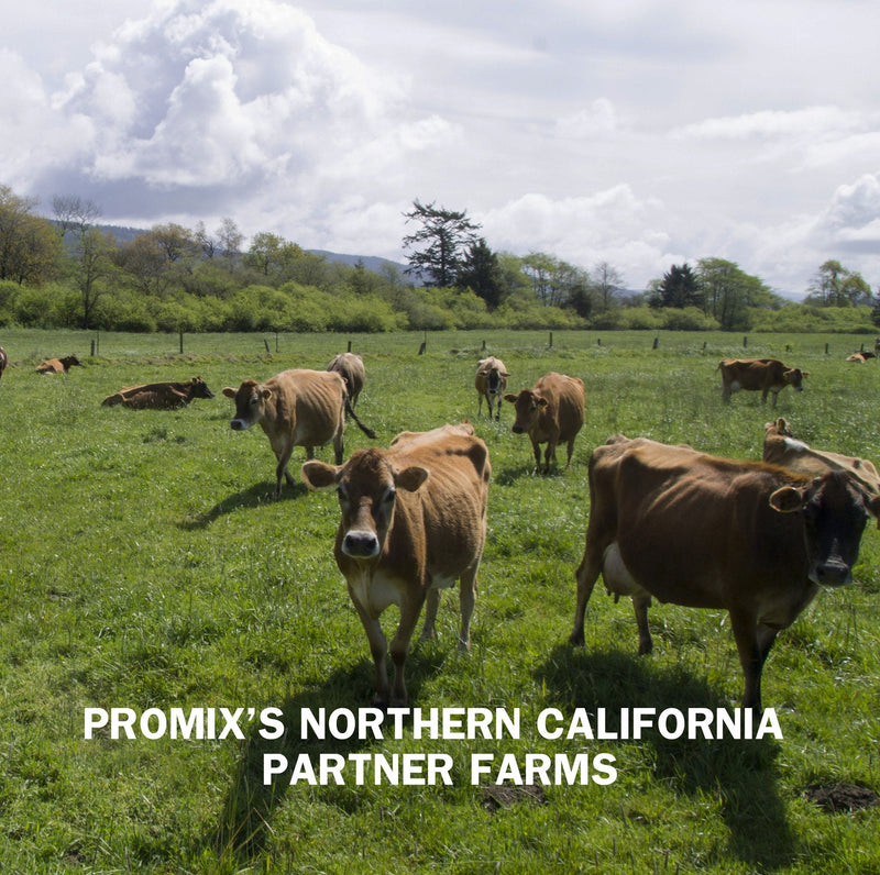 Promix Vanilla Grass-Fed Whey Protein Powder