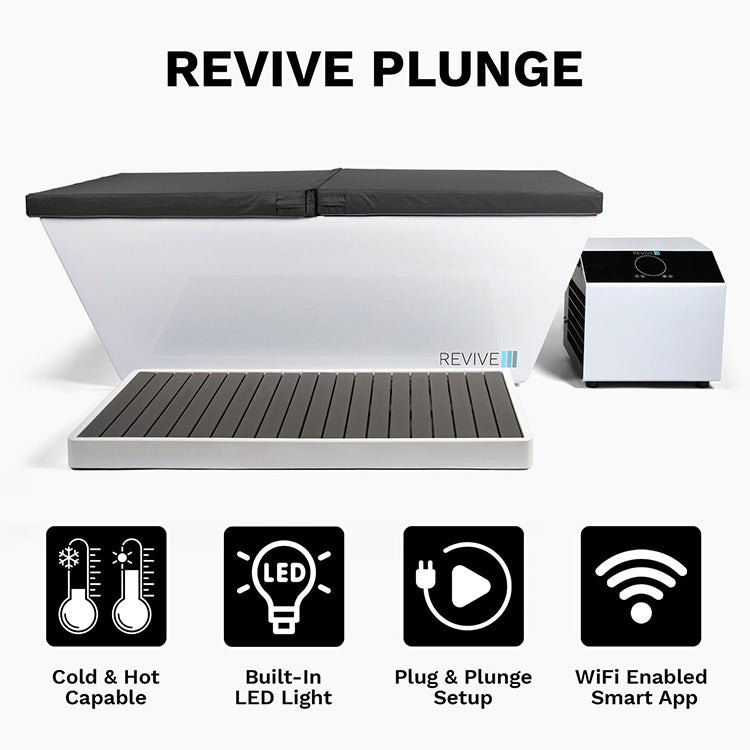 Revive 6 Person Traditional Sauna & Acrylic Plunge Package